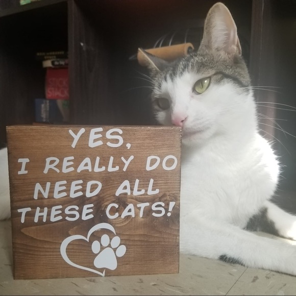 handmade Other - HANDMADE Cat Sign